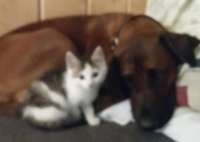 Bauernhof Familie Knoblechner نسدورف ام اترسي