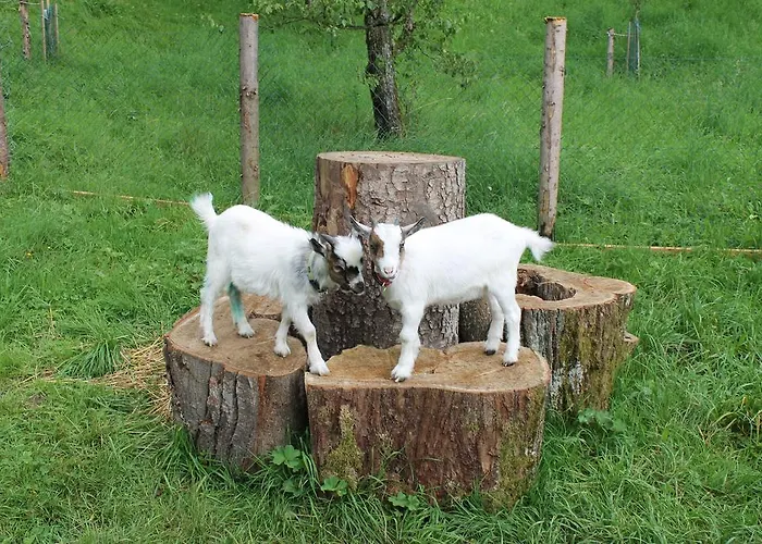 Bauernhof Familie Knoblechner Çiftlik konaklama