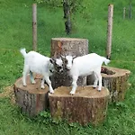 Bauernhof Familie Knoblechner ファームステイ